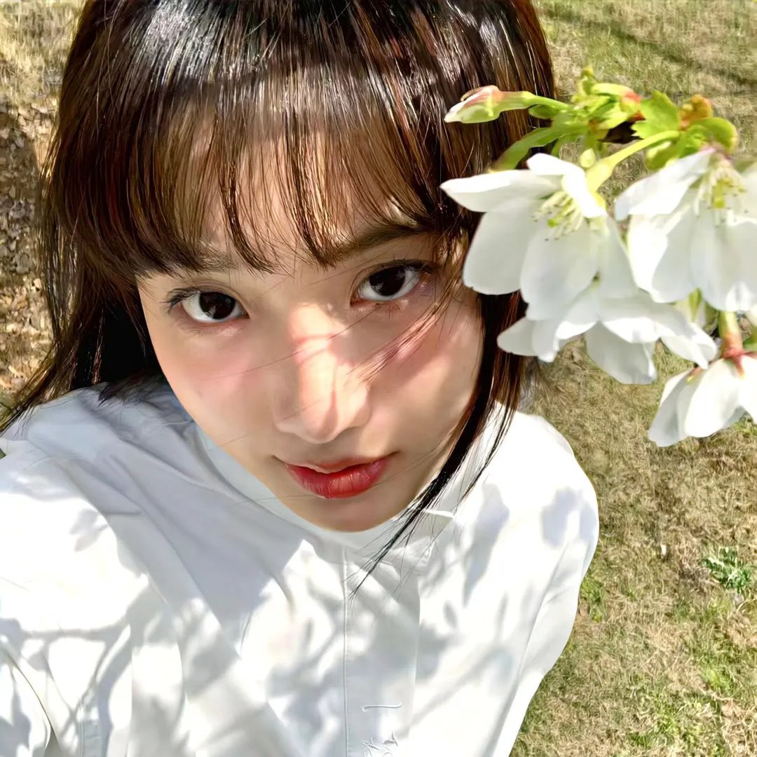 安妮要自由